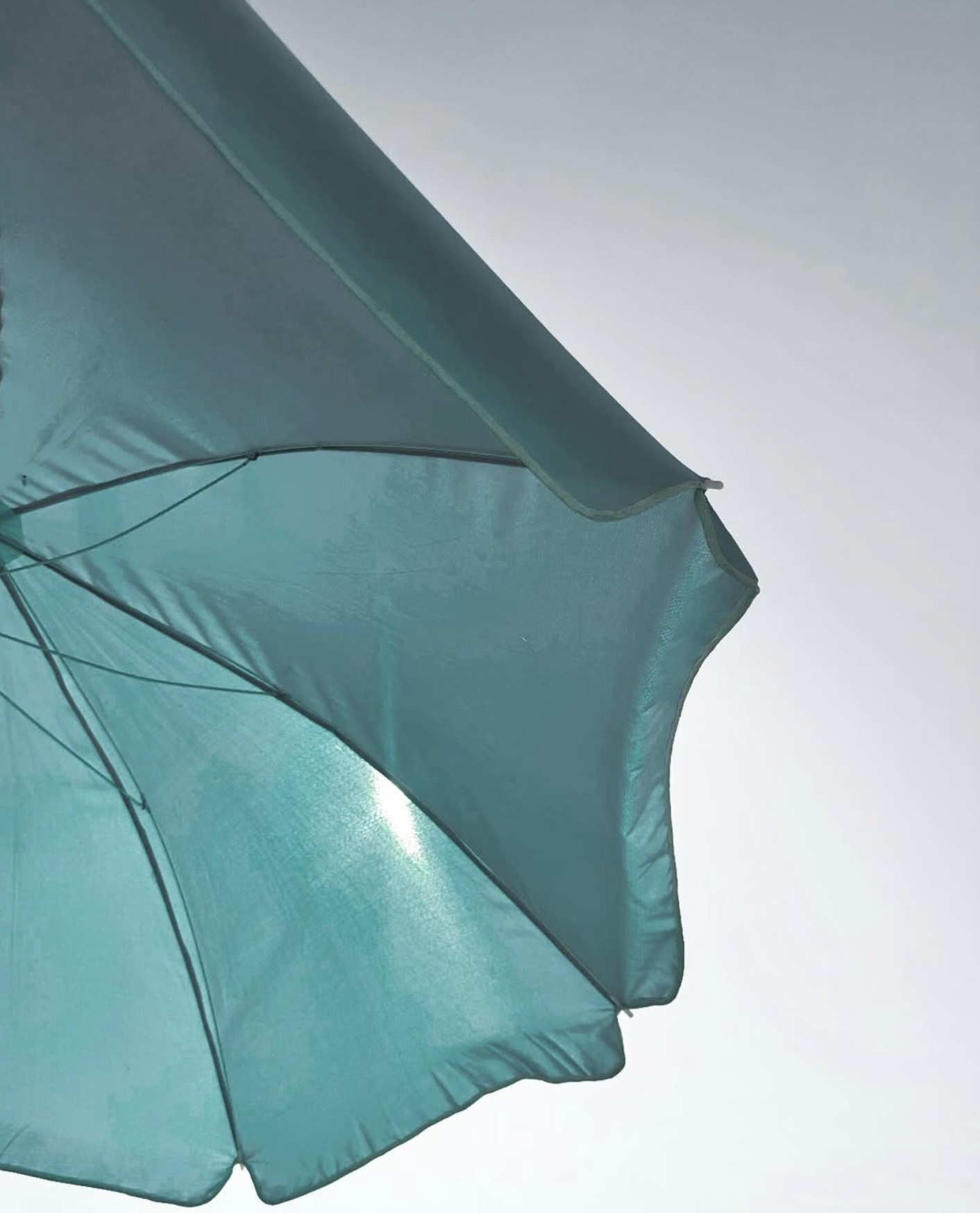 Waldlandschaft mit dichtem Nebel über den Baumkronen und grauem, wolkenverhangenem Himmel.